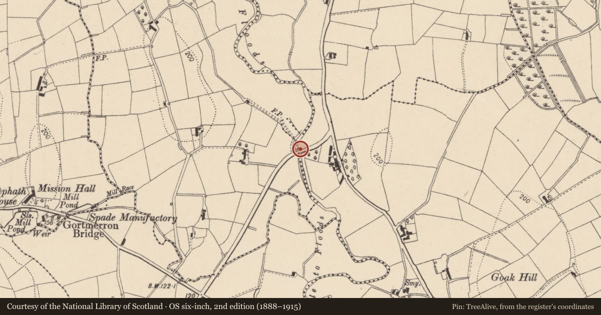 Ordnance Survey six-inch map, 2nd edition (1888–1915) covering the location of Eglish Road Bridge (Over Oona Water), Mid Ulster, with a pin at the register's coordinates