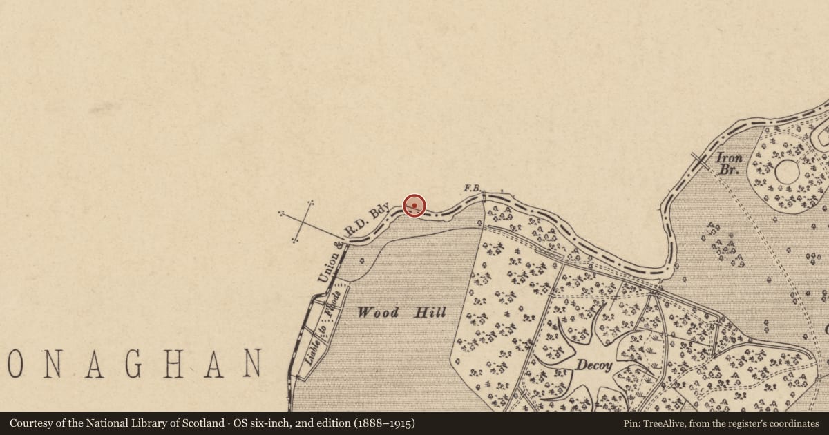 Ordnance Survey six-inch map, 2nd edition (1888–1915) covering the location of BONEHOUSE, Mid Ulster, with a pin at the register's coordinates