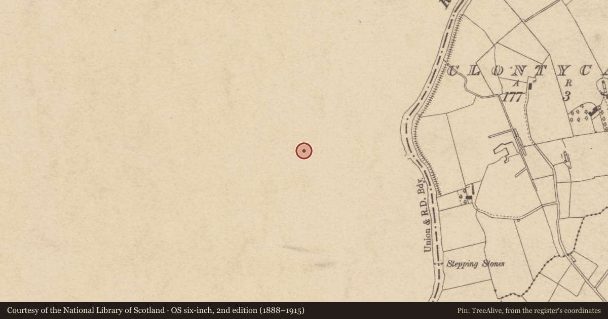 Ordnance Survey six-inch map, 2nd edition (1888–1915) covering the location of Masonic Hall (former railway station), Caledon, Mid Ulster, with a pin at the register's coordinates