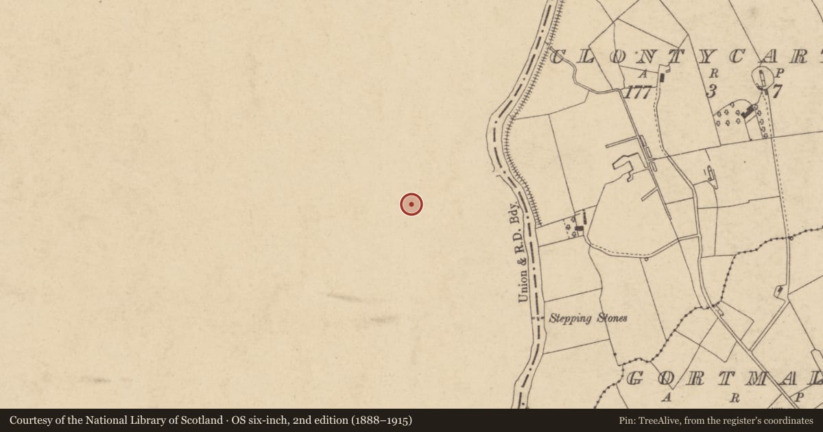 Ordnance Survey six-inch map, 2nd edition (1888–1915) covering the location of Engine house and steam engine, Caledon TD, Mid Ulster, with a pin at the register's coordinates