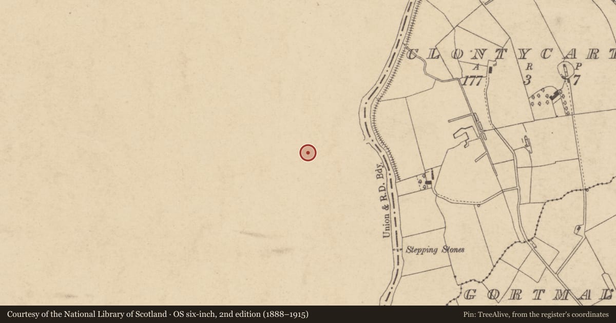 Ordnance Survey six-inch map, 2nd edition (1888–1915) covering the location of Wool Store Mill Street Caledon Co. Tyrone BT68 4TT, Mid Ulster, with a pin at the register's coordinates
