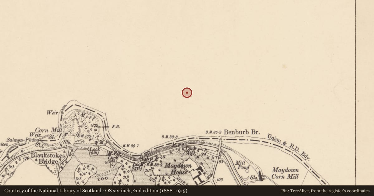 Ordnance Survey six-inch map, 2nd edition (1888–1915) covering the location of Clonfeacle Parish Church Of St. Patrick, Mid Ulster, with a pin at the register's coordinates