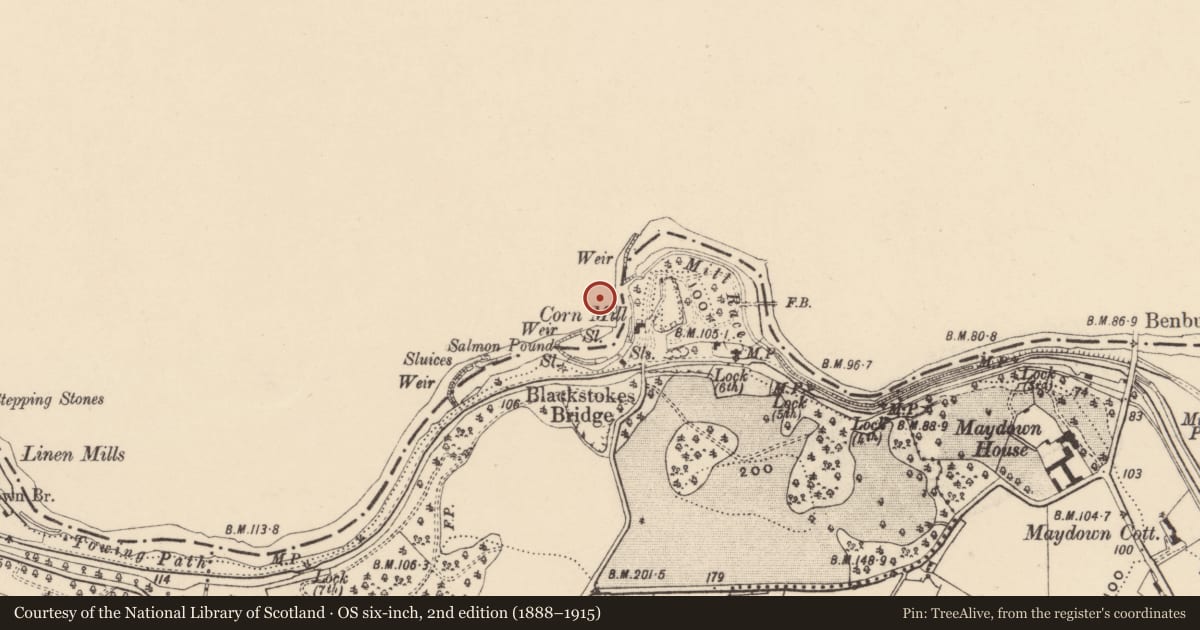 Ordnance Survey six-inch map, 2nd edition (1888–1915) covering the location of Old Mill Buildings, Mid Ulster, with a pin at the register's coordinates