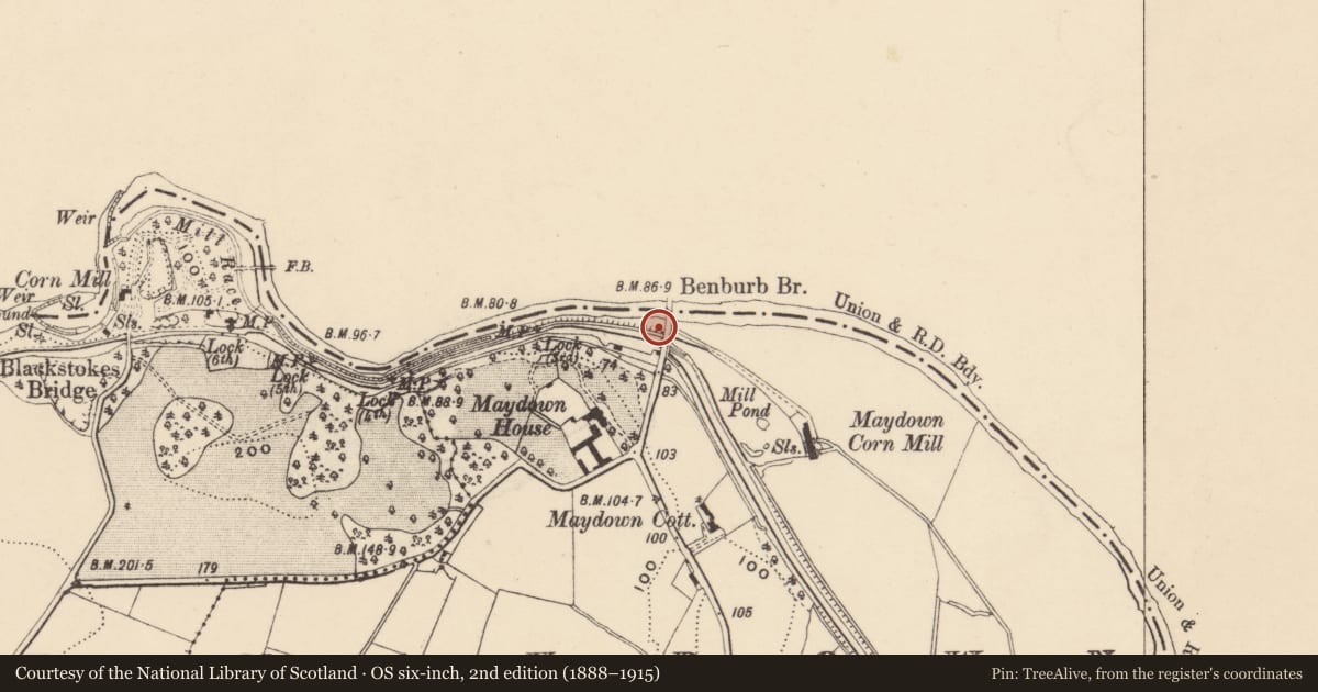 Ordnance Survey six-inch map, 2nd edition (1888–1915) covering the location of Maydown Bridge, Armagh City, Banbridge and Craigavon, with a pin at the register's coordinates