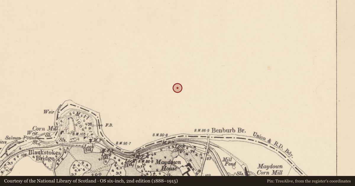 Ordnance Survey six-inch map, 2nd edition (1888–1915) covering the location of Gate Screen, Mid Ulster, with a pin at the register's coordinates