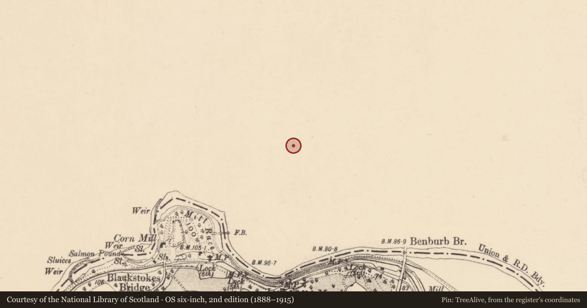 Ordnance Survey six-inch map, 2nd edition (1888–1915) covering the location of Presbyterian Church, Mid Ulster, with a pin at the register's coordinates