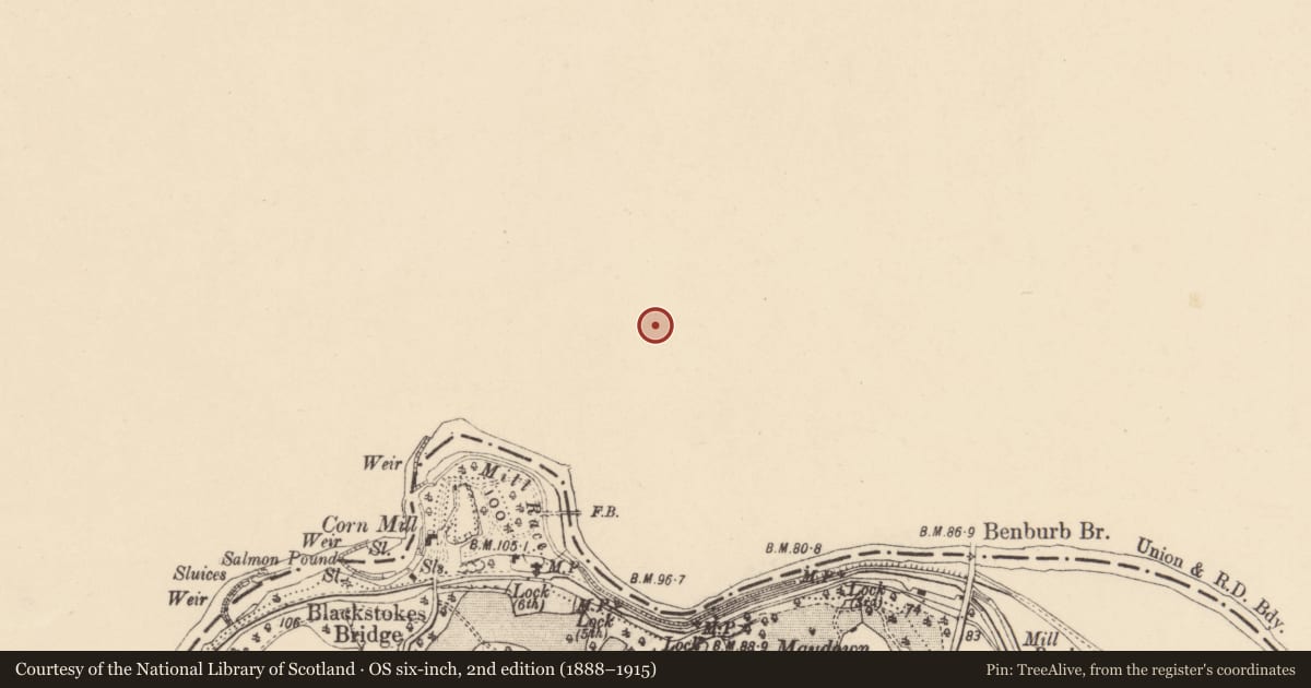 Ordnance Survey six-inch map, 2nd edition (1888–1915) covering the location of 49-51 Main St.(AKA 51C-51D Main St.), Mid Ulster, with a pin at the register's coordinates