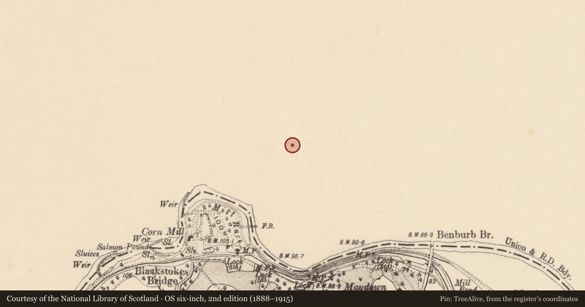 Ordnance Survey six-inch map, 2nd edition (1888–1915) covering the location of 53 Main St., Mid Ulster, with a pin at the register's coordinates
