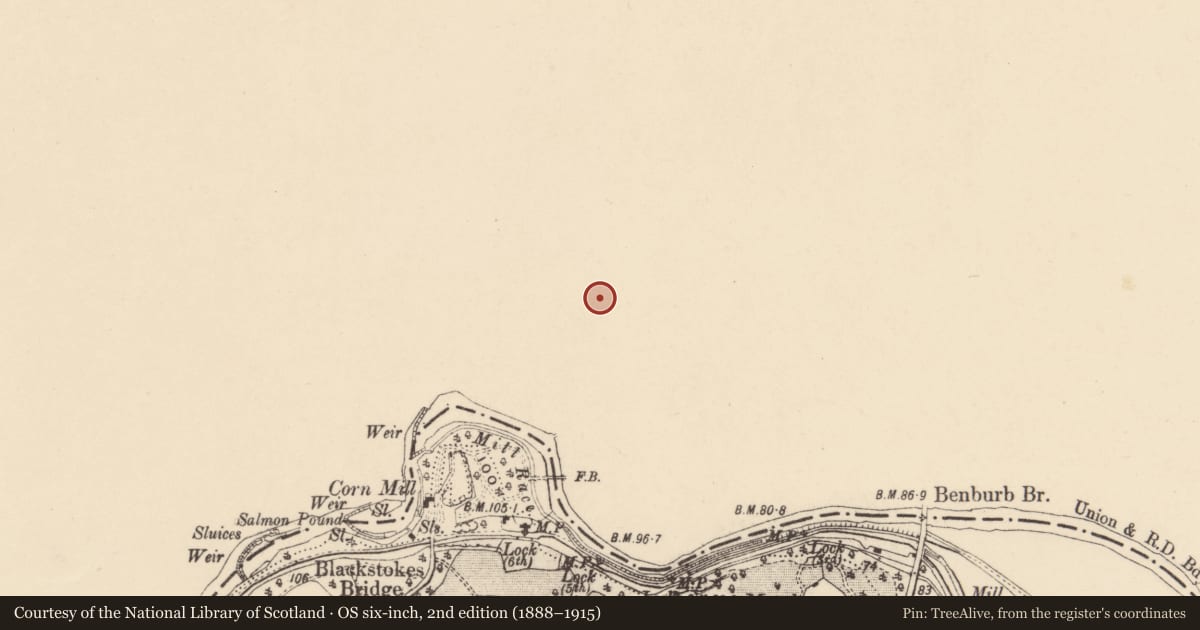 Ordnance Survey six-inch map, 2nd edition (1888–1915) covering the location of 241 Derryfubble Road, Mid Ulster, with a pin at the register's coordinates
