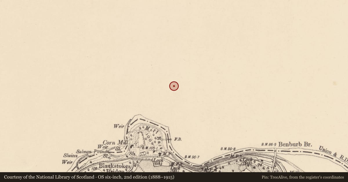 Ordnance Survey six-inch map, 2nd edition (1888–1915) covering the location of 65 Main St., Mid Ulster, with a pin at the register's coordinates