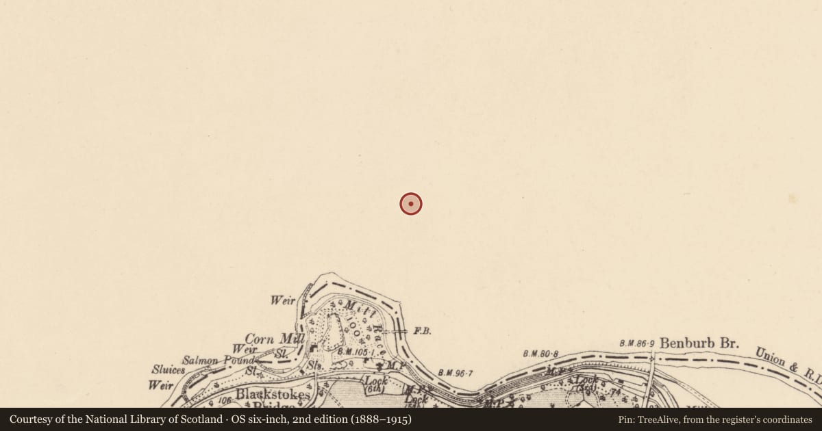 Ordnance Survey six-inch map, 2nd edition (1888–1915) covering the location of 67 Main St., Mid Ulster, with a pin at the register's coordinates