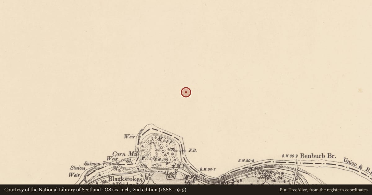 Ordnance Survey six-inch map, 2nd edition (1888–1915) covering the location of 69 Main St., Mid Ulster, with a pin at the register's coordinates