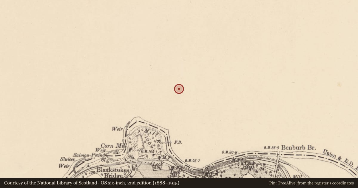 Ordnance Survey six-inch map, 2nd edition (1888–1915) covering the location of Post Office, Mid Ulster, with a pin at the register's coordinates