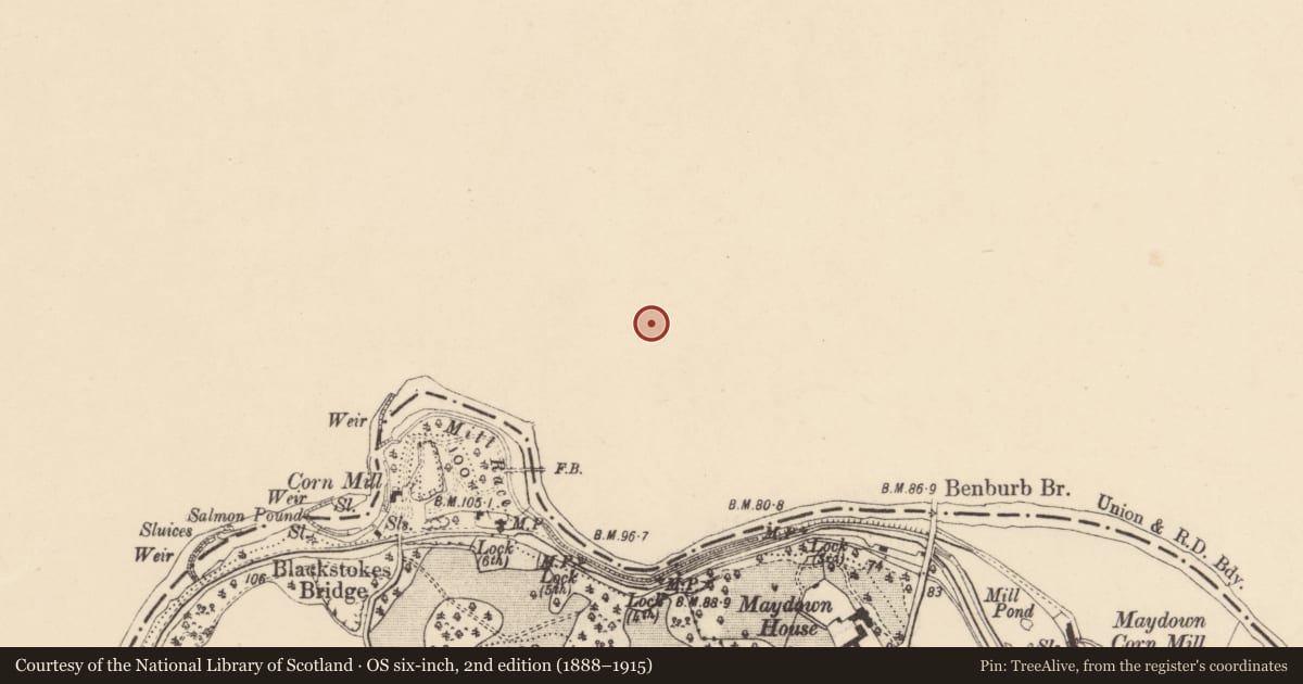 Ordnance Survey six-inch map, 2nd edition (1888–1915) covering the location of Former stable yard at Servite Priory, Benburb, Mid Ulster, with a pin at the register's coordinates