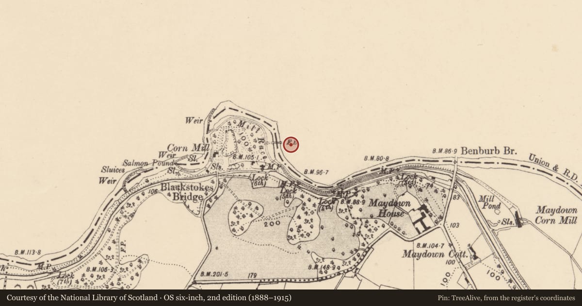 Ordnance Survey six-inch map, 2nd edition (1888–1915) covering the location of Cottage Within The Bawn, Mid Ulster, with a pin at the register's coordinates