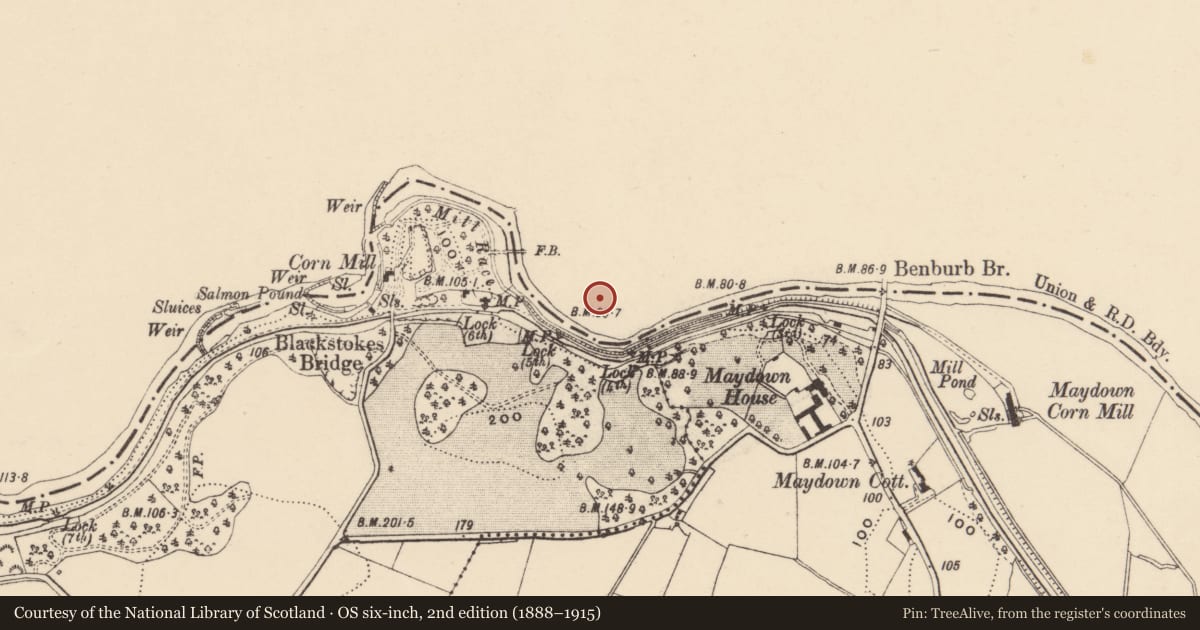 Ordnance Survey six-inch map, 2nd edition (1888–1915) covering the location of Chapel At Servite Priory, Mid Ulster, with a pin at the register's coordinates