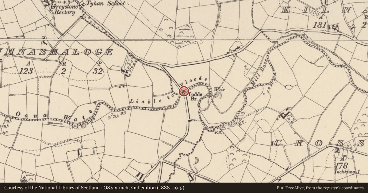 Ordnance Survey six-inch map, 2nd edition (1888–1915) covering the location of Todds Bridge, Mid Ulster, with a pin at the register's coordinates