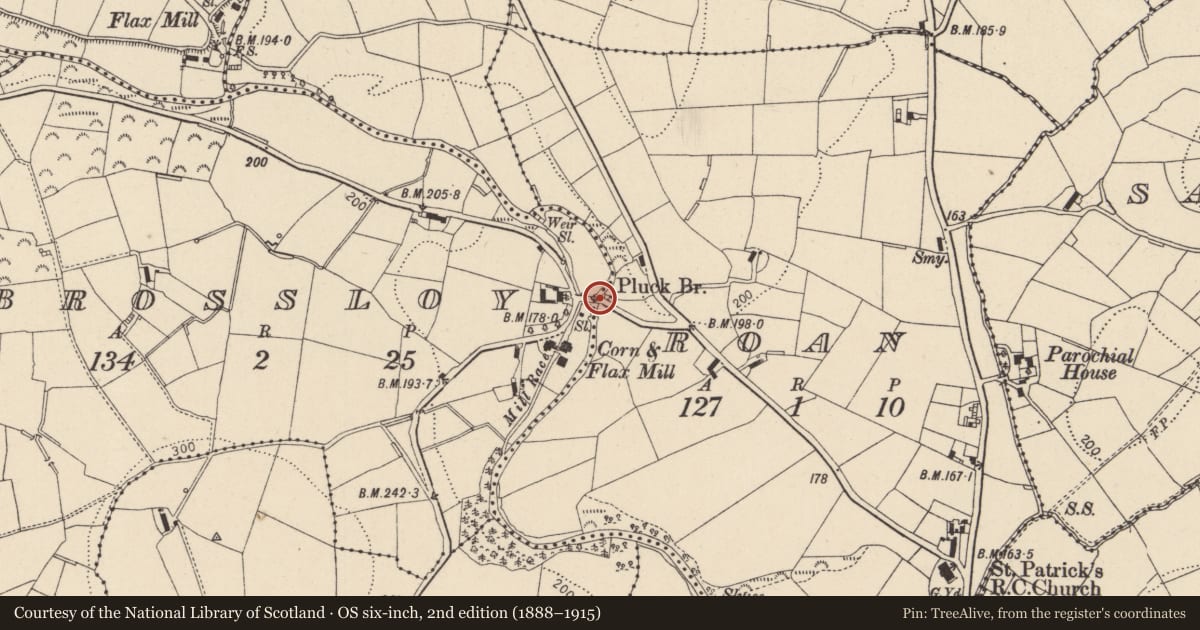 Ordnance Survey six-inch map, 2nd edition (1888–1915) covering the location of Pluck Bridge, Mid Ulster, with a pin at the register's coordinates