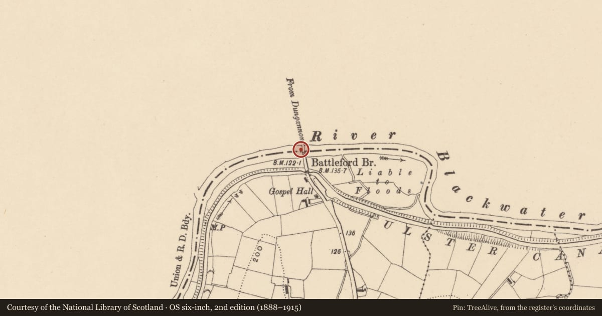 Ordnance Survey six-inch map, 2nd edition (1888–1915) covering the location of Battleford Bridge, Mid Ulster, with a pin at the register's coordinates