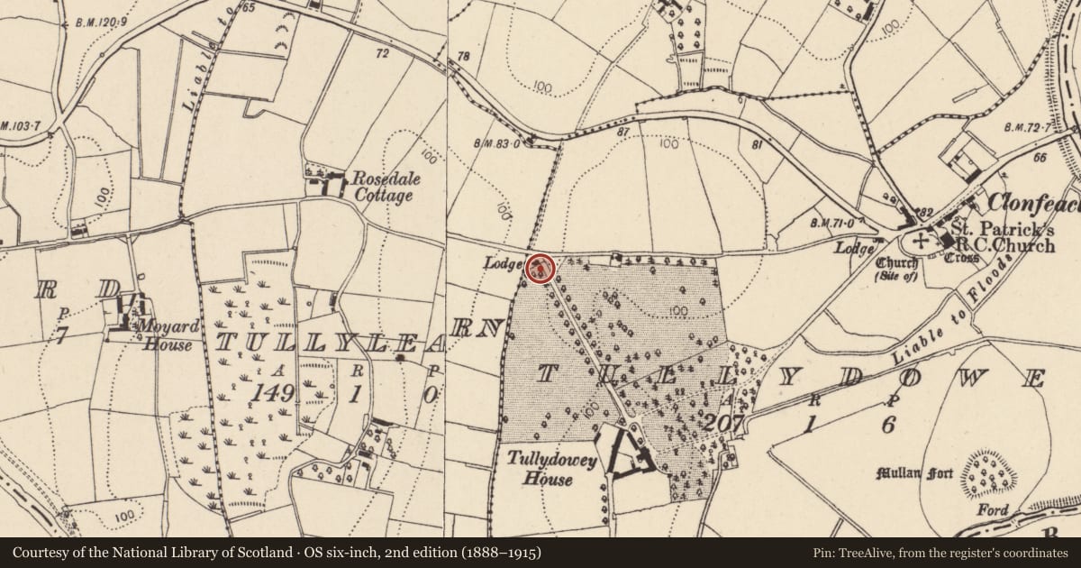 Ordnance Survey six-inch map, 2nd edition (1888–1915) covering the location of 39 Tullydowey Road, Mid Ulster, with a pin at the register's coordinates