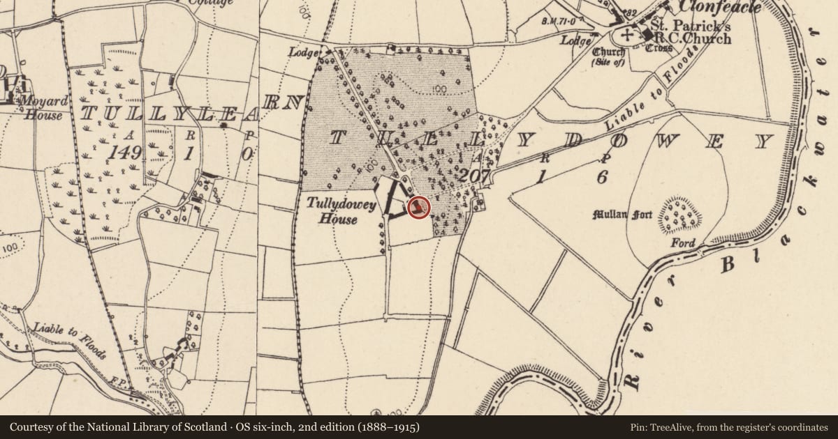 Ordnance Survey six-inch map, 2nd edition (1888–1915) covering the location of Tullydowey House, Mid Ulster, with a pin at the register's coordinates