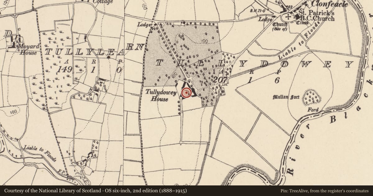 Ordnance Survey six-inch map, 2nd edition (1888–1915) covering the location of Outbuildings Tullydowey House, Mid Ulster, with a pin at the register's coordinates