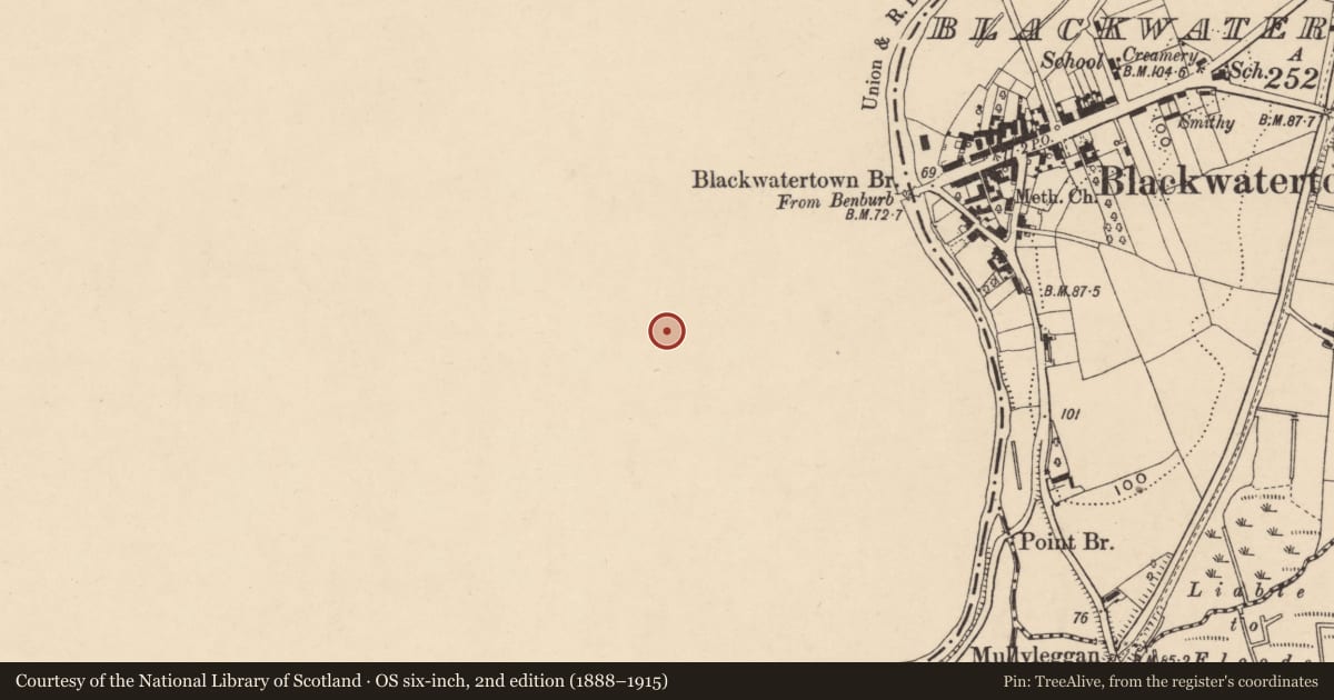 Ordnance Survey six-inch map, 2nd edition (1888–1915) covering the location of Gate Lodge, Mid Ulster, with a pin at the register's coordinates