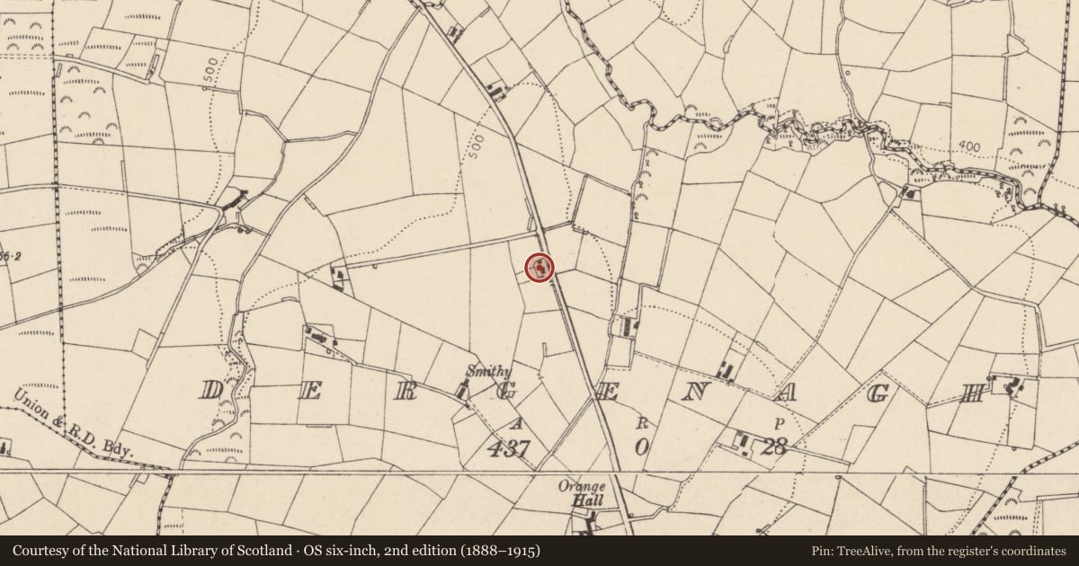 Ordnance Survey six-inch map, 2nd edition (1888–1915) covering the location of 45 Dergenagh Road, Mid Ulster, with a pin at the register's coordinates