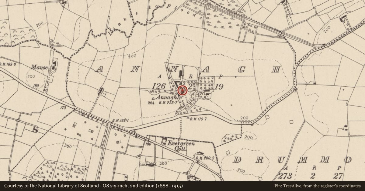 Ordnance Survey six-inch map, 2nd edition (1888–1915) covering the location of Annagh House, Mid Ulster, with a pin at the register's coordinates