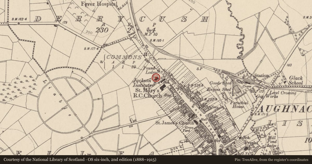 Ordnance Survey six-inch map, 2nd edition (1888–1915) covering the location of Jackson Institute, Mid Ulster, with a pin at the register's coordinates