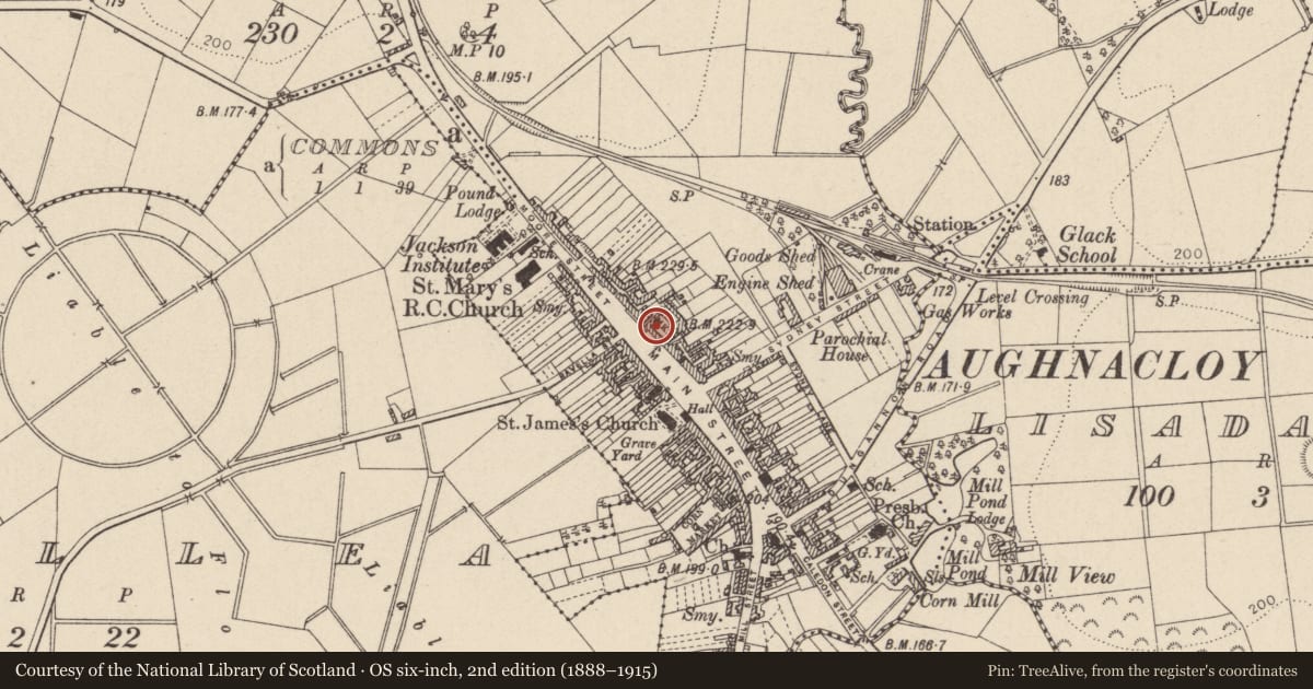 Ordnance Survey six-inch map, 2nd edition (1888–1915) covering the location of Old Market House, Mid Ulster, with a pin at the register's coordinates