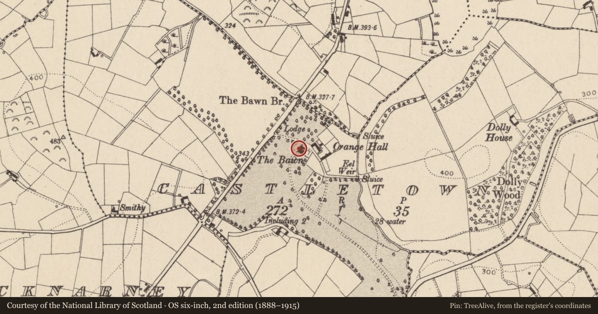 Ordnance Survey six-inch map, 2nd edition (1888–1915) covering the location of The Bawn, Mid Ulster, with a pin at the register's coordinates