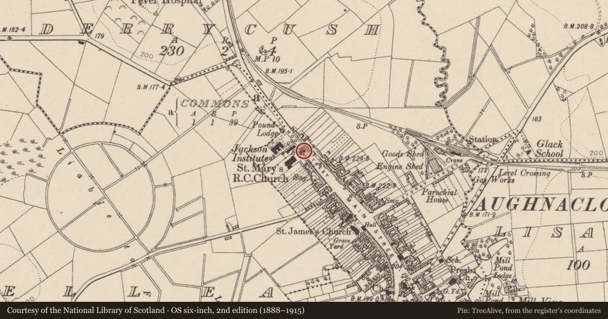 Ordnance Survey six-inch map, 2nd edition (1888–1915) covering the location of Gate Screen Of St. Mary'S R C CHURCH, Mid Ulster, with a pin at the register's coordinates