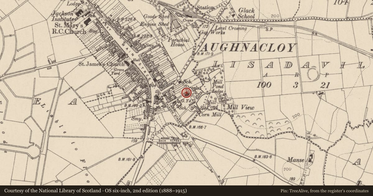 Ordnance Survey six-inch map, 2nd edition (1888–1915) covering the location of Presbyterian Church, Mid Ulster, with a pin at the register's coordinates