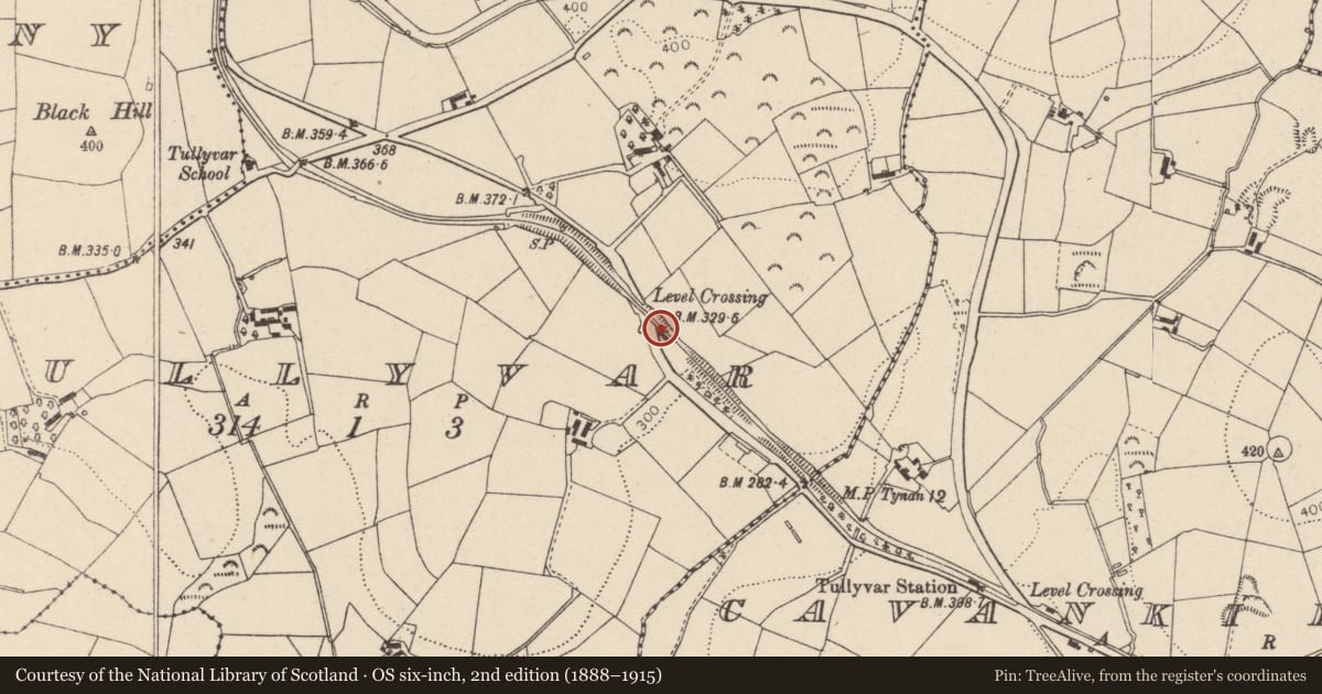Ordnance Survey six-inch map, 2nd edition (1888–1915) covering the location of Level-Crossing Keepers House, Mid Ulster, with a pin at the register's coordinates