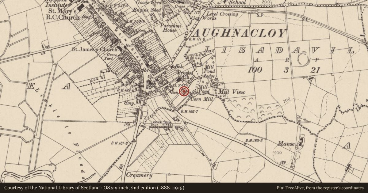 Ordnance Survey six-inch map, 2nd edition (1888–1915) covering the location of Store in The McCreedy Mill Centre, Derrycush, Mid Ulster, with a pin at the register's coordinates