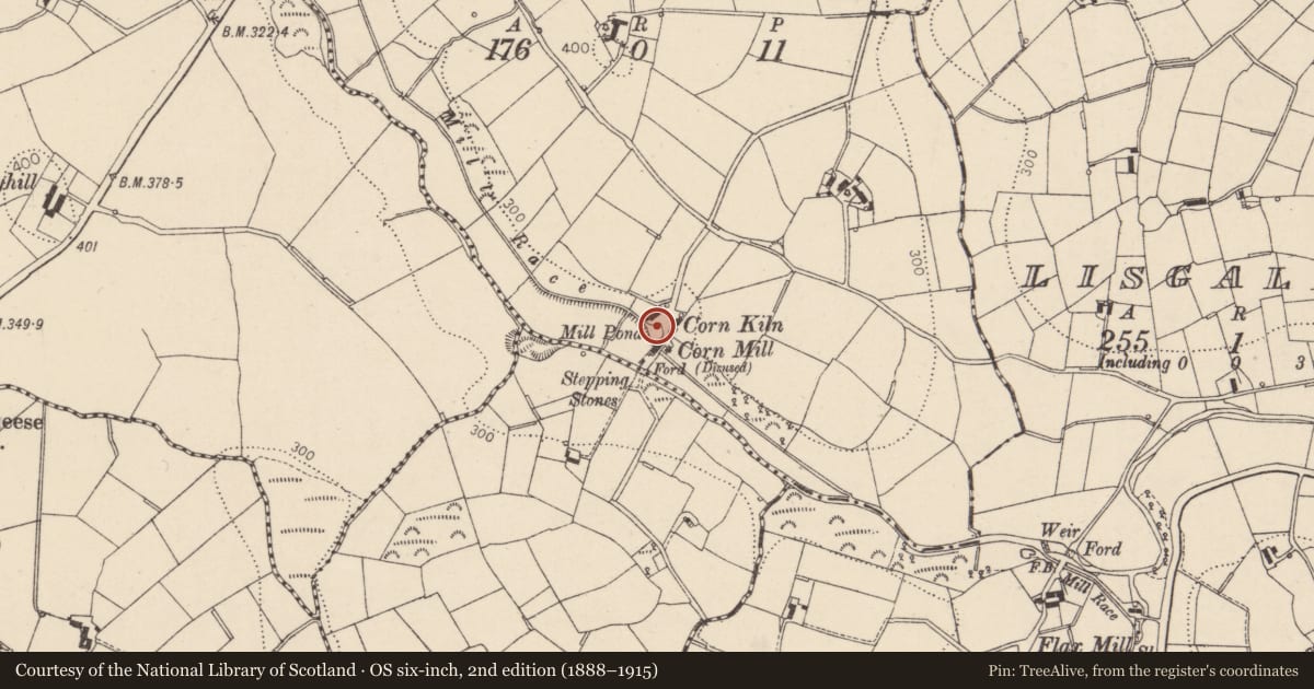 Ordnance Survey six-inch map, 2nd edition (1888–1915) covering the location of Scutch Mill, Ennish, Mid Ulster, with a pin at the register's coordinates