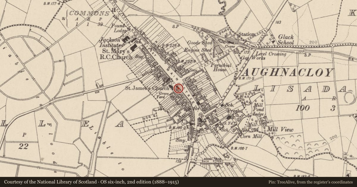 Ordnance Survey six-inch map, 2nd edition (1888–1915) covering the location of 113 Moore Street, Derrycush, Mid Ulster, with a pin at the register's coordinates