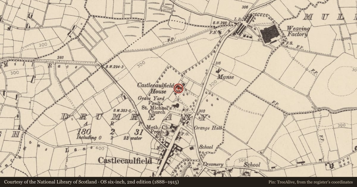 Ordnance Survey six-inch map, 2nd edition (1888–1915) covering the location of Castlecaulfield House, Mid Ulster, with a pin at the register's coordinates
