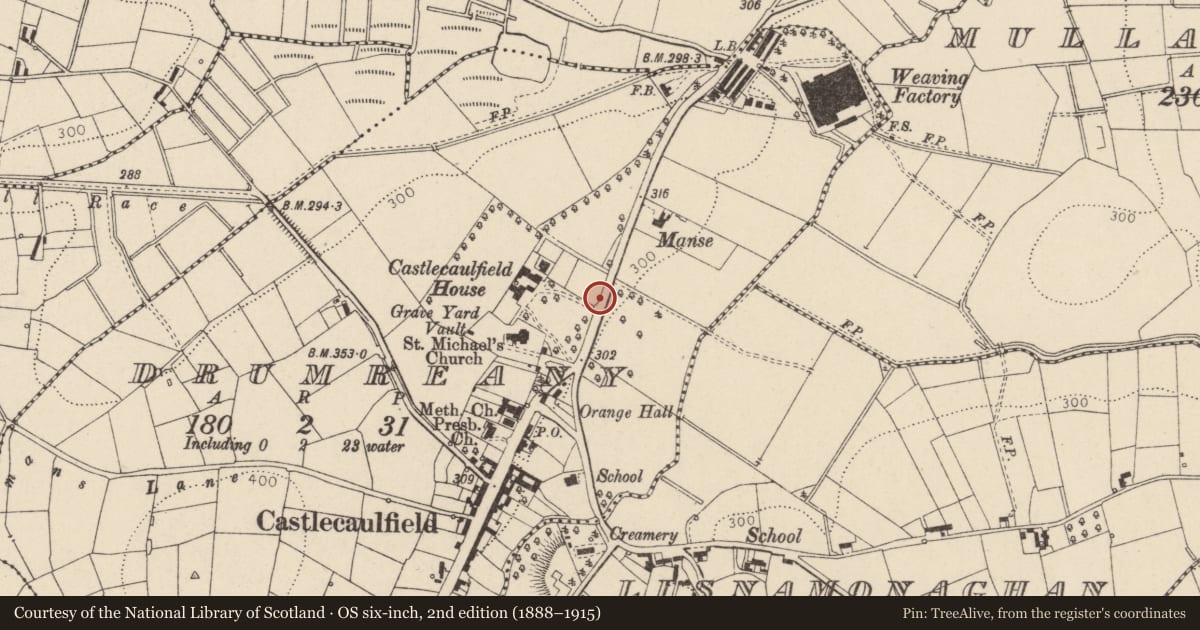 Ordnance Survey six-inch map, 2nd edition (1888–1915) covering the location of Entrance Gates Castlecaulfield House, Mid Ulster, with a pin at the register's coordinates