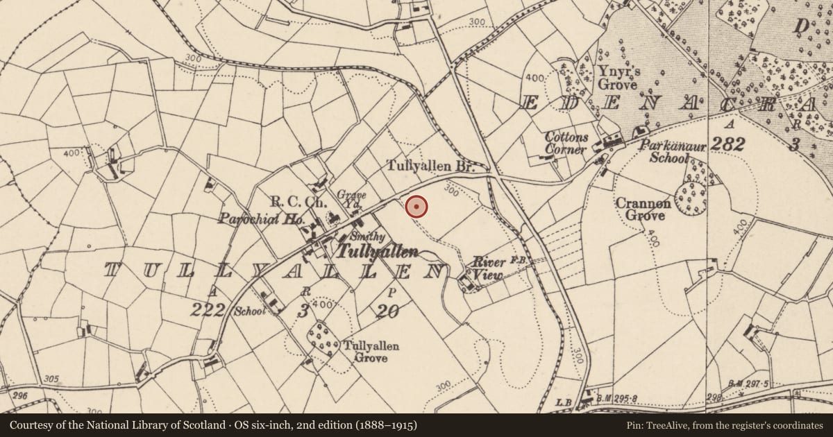 Ordnance Survey six-inch map, 2nd edition (1888–1915) covering the location of R C Church Of The Assumption, Mid Ulster, with a pin at the register's coordinates