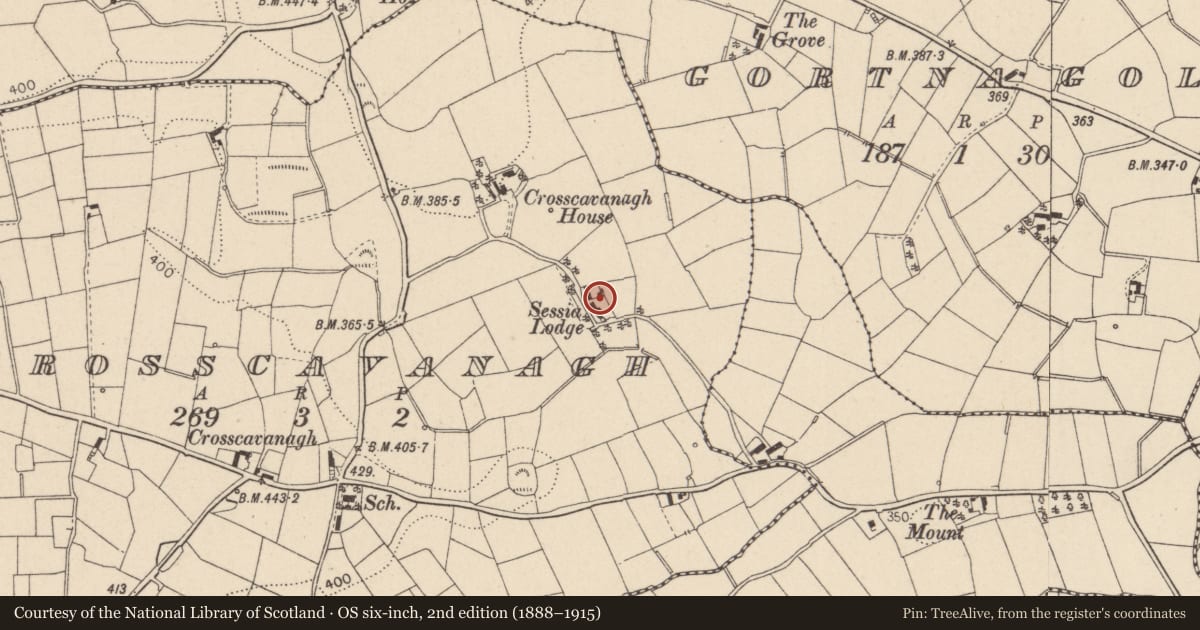 Ordnance Survey six-inch map, 2nd edition (1888–1915) covering the location of Sessia Lodge, Mid Ulster, with a pin at the register's coordinates