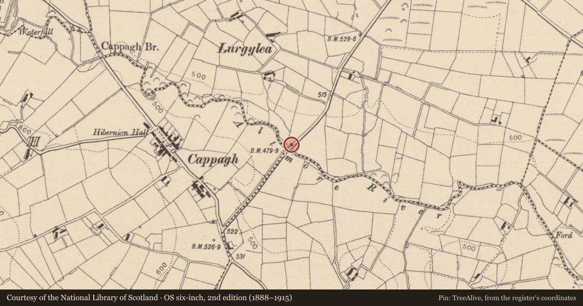Ordnance Survey six-inch map, 2nd edition (1888–1915) covering the location of BRIDGE, Mid Ulster, with a pin at the register's coordinates