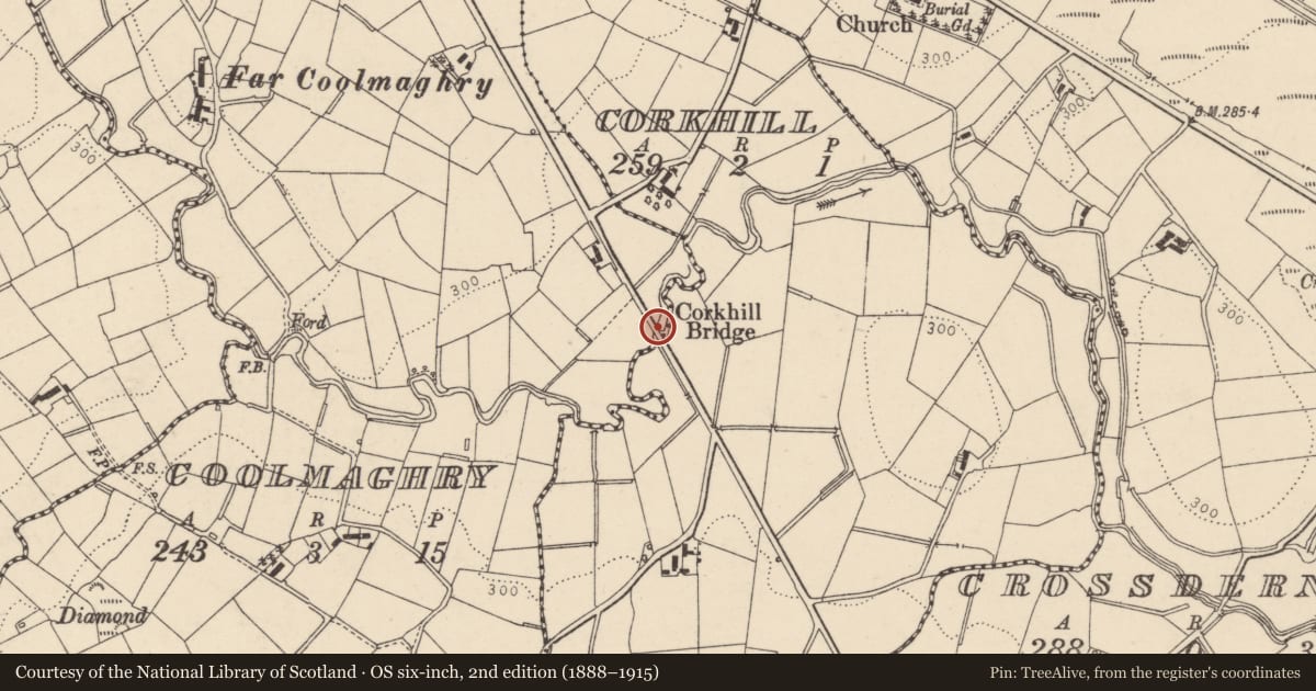 Ordnance Survey six-inch map, 2nd edition (1888–1915) covering the location of Corkhill Bridge, Mid Ulster, with a pin at the register's coordinates
