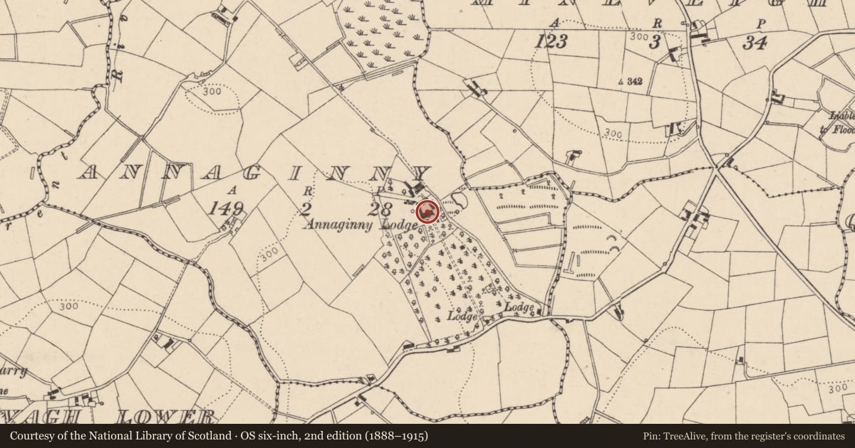 Ordnance Survey six-inch map, 2nd edition (1888–1915) covering the location of Annaginny Lodge, Mid Ulster, with a pin at the register's coordinates