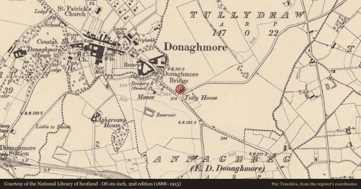Ordnance Survey six-inch map, 2nd edition (1888–1915) covering the location of 2 Tullycullion Road, Mid Ulster, with a pin at the register's coordinates