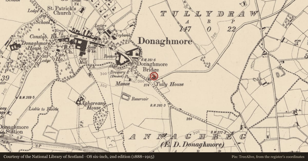 Ordnance Survey six-inch map, 2nd edition (1888–1915) covering the location of Tully House, Mid Ulster, with a pin at the register's coordinates