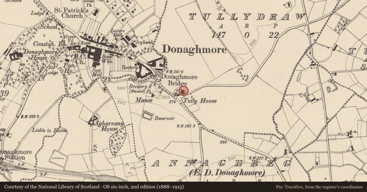 Ordnance Survey six-inch map, 2nd edition (1888–1915) covering the location of 6 Tullycullion Road, Mid Ulster, with a pin at the register's coordinates