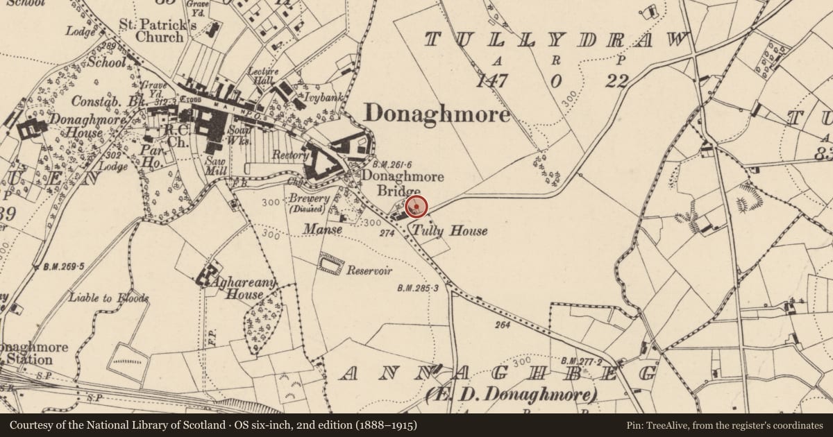 Ordnance Survey six-inch map, 2nd edition (1888–1915) covering the location of 8 Tullycullion Road, Mid Ulster, with a pin at the register's coordinates