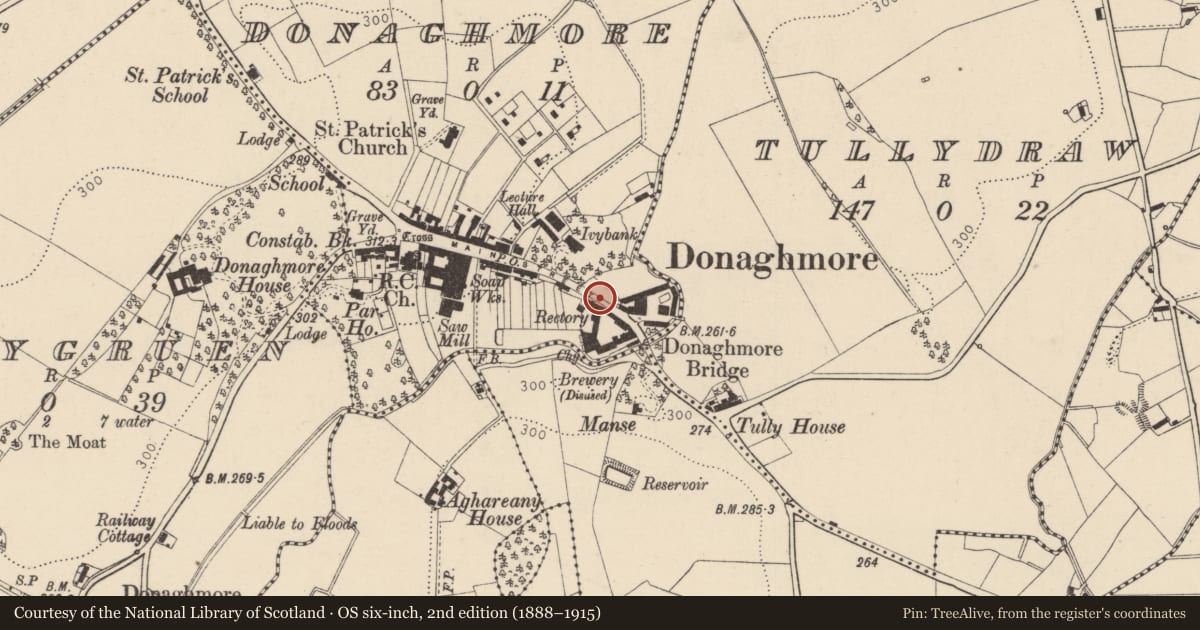Ordnance Survey six-inch map, 2nd edition (1888–1915) covering the location of Laurel View Villa, Mid Ulster, with a pin at the register's coordinates